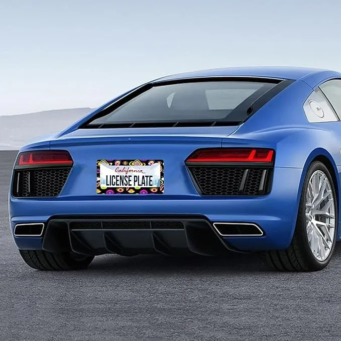 Evil Eyes Colorful License Plate Frame